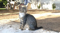 /album/221/decd30fc-70aa-4227-bf36-a12347c66ab4-kopie-jpeg/